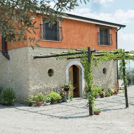 B&B Rifugio Tra Gli Ulivi Campagna Bagian luar foto