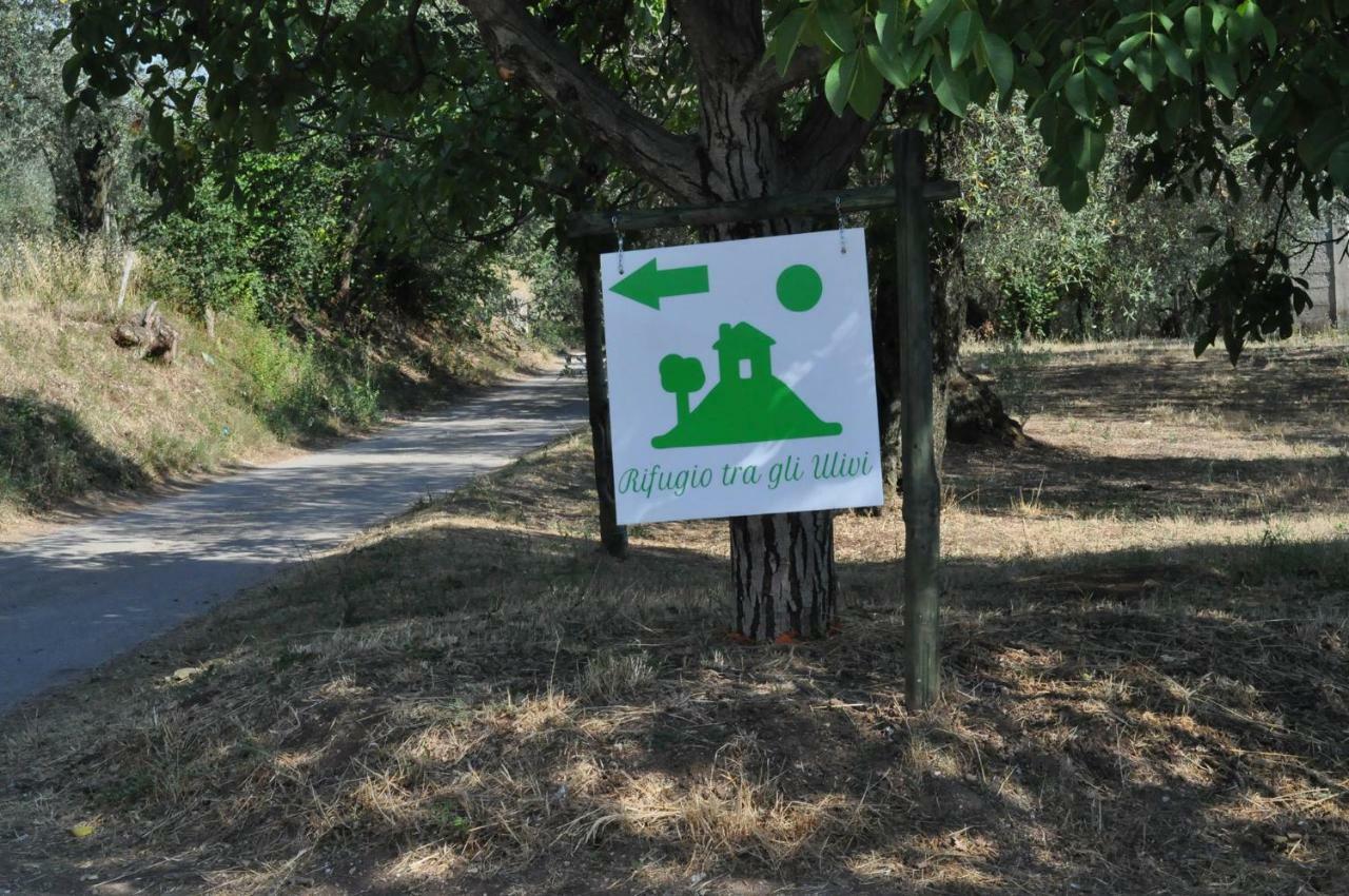 B&B Rifugio Tra Gli Ulivi Campagna Bagian luar foto