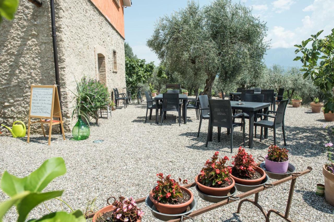 B&B Rifugio Tra Gli Ulivi Campagna Bagian luar foto