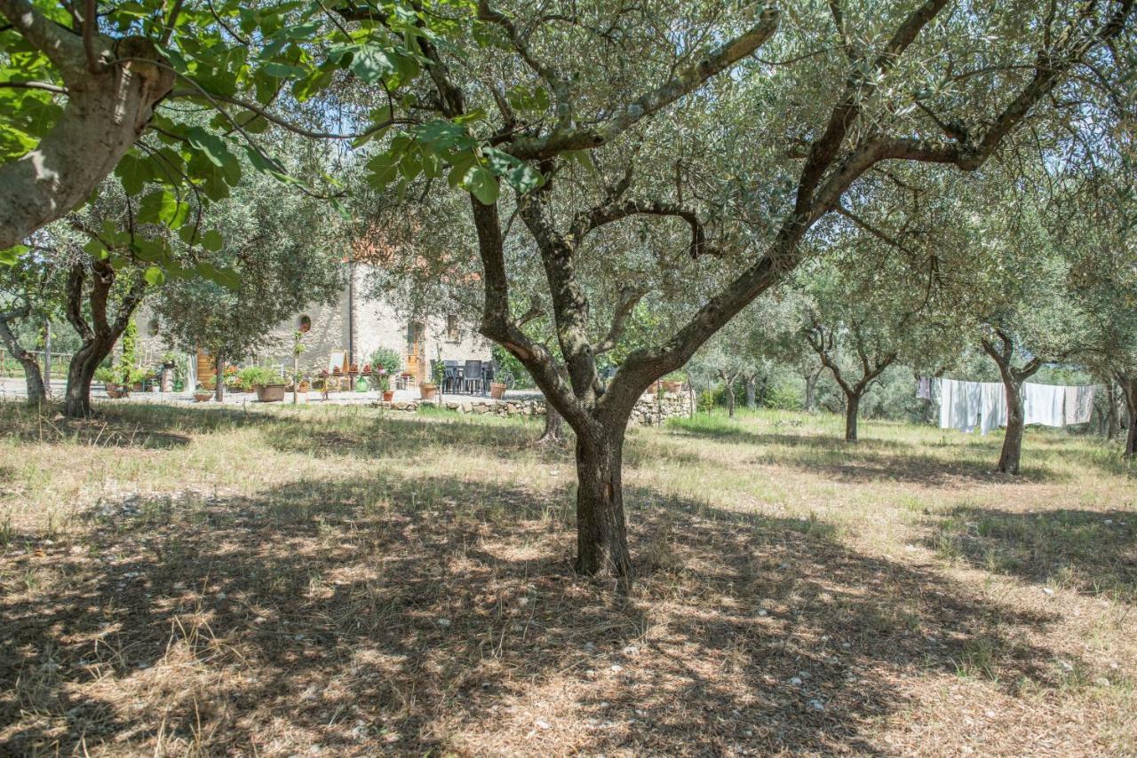 B&B Rifugio Tra Gli Ulivi Campagna Bagian luar foto