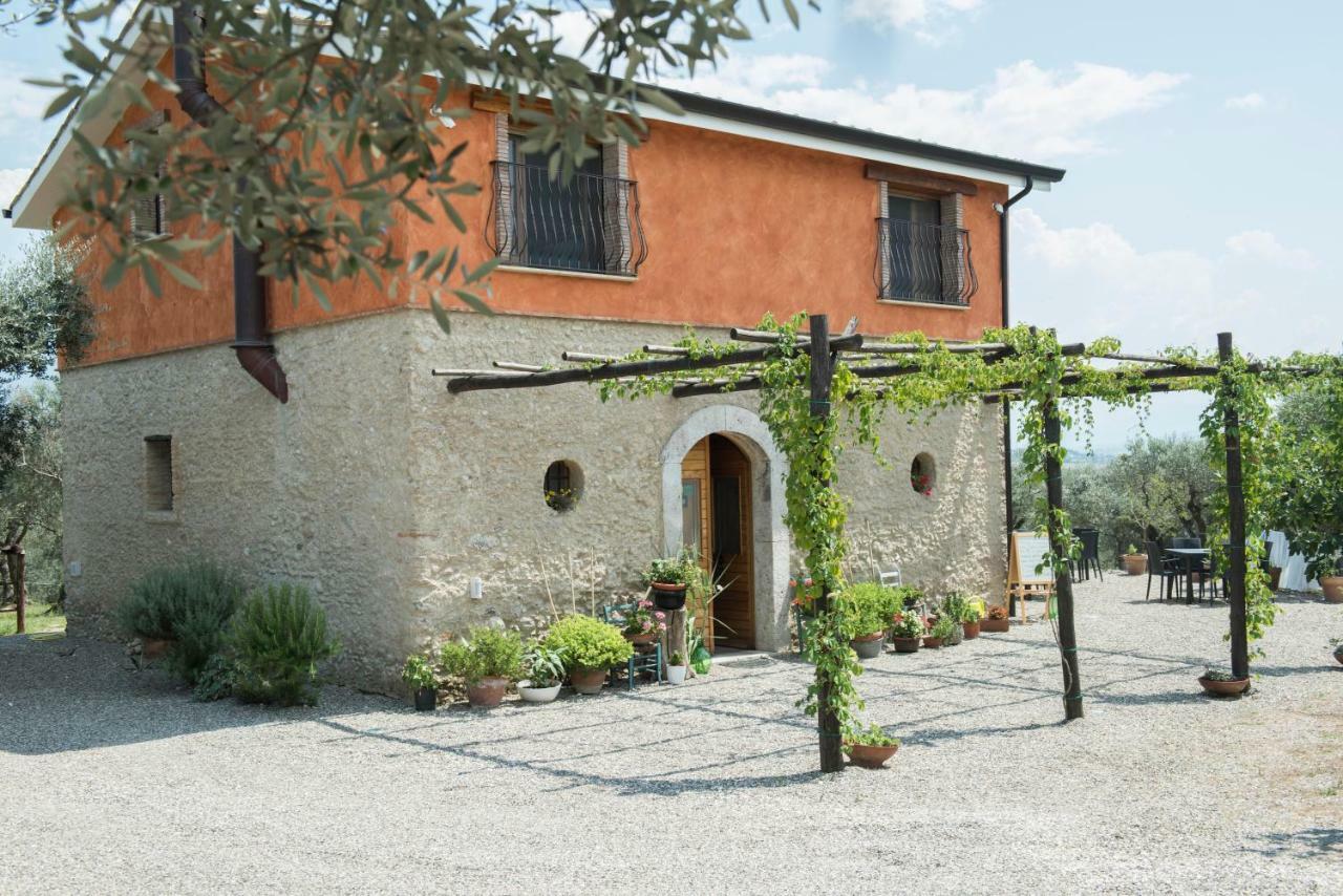 B&B Rifugio Tra Gli Ulivi Campagna Bagian luar foto