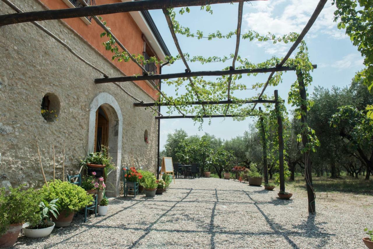 B&B Rifugio Tra Gli Ulivi Campagna Bagian luar foto